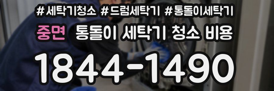 중면 통돌이 세탁기 청소 비용