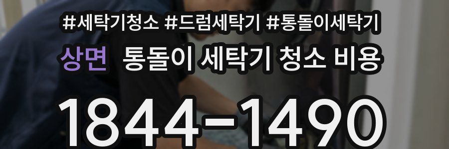 상면 통돌이 세탁기 청소 비용