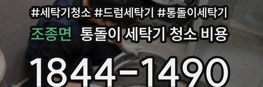 조종면 통돌이 세탁기 청소 비용