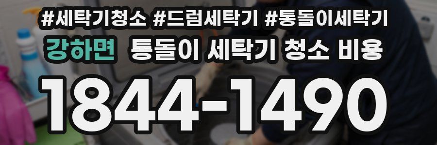 강하면 통돌이 세탁기 청소 비용