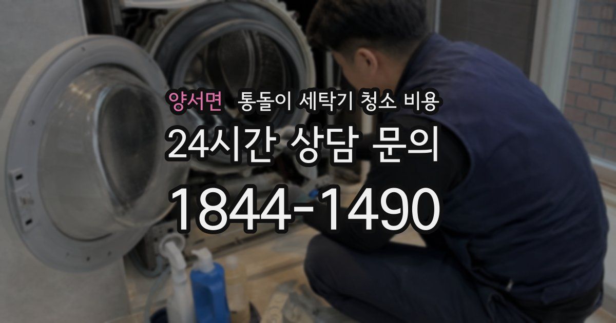 양서면 통돌이 세탁기 청소 비용