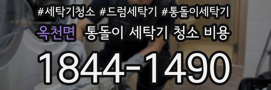 옥천면 통돌이 세탁기 청소 비용