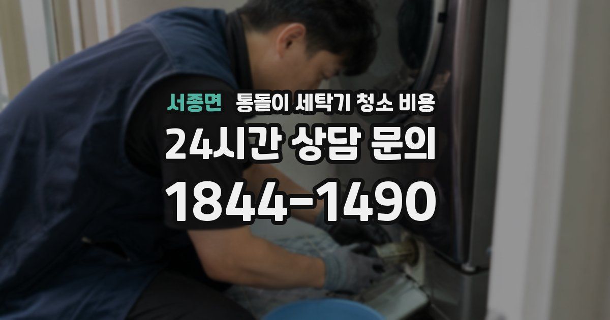 서종면 통돌이 세탁기 청소 비용