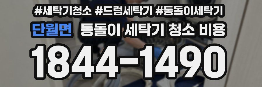 단월면 통돌이 세탁기 청소 비용