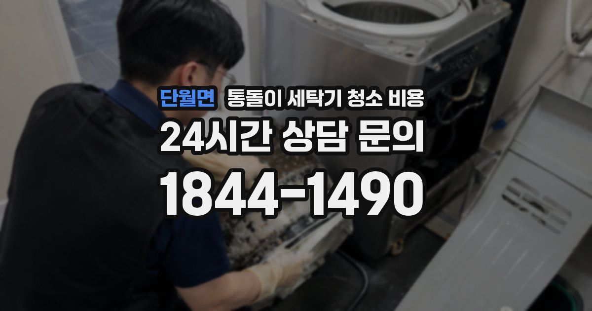 단월면 통돌이 세탁기 청소 비용