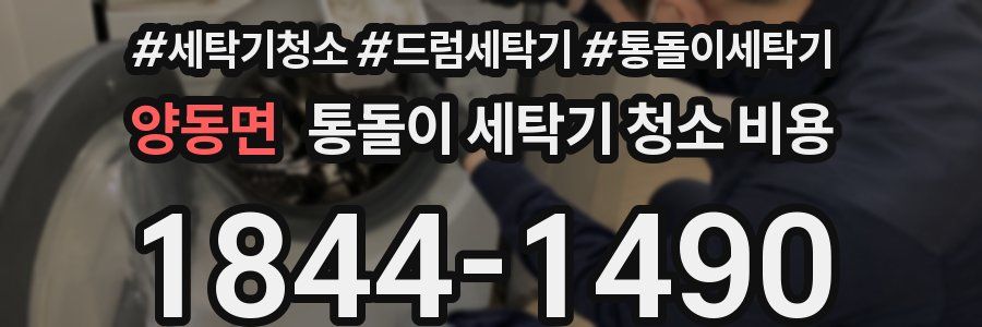 양동면 통돌이 세탁기 청소 비용