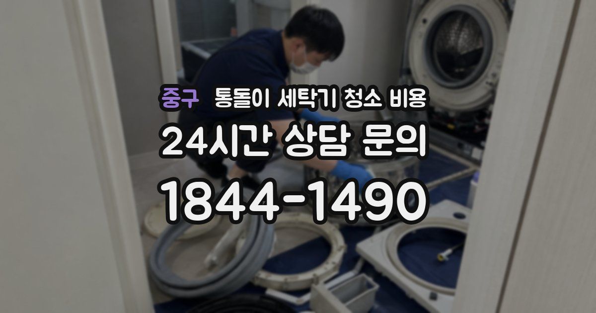 중구 통돌이 세탁기 청소 비용