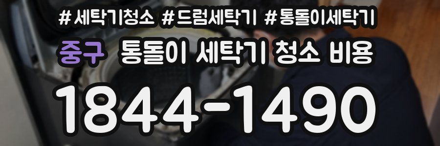 중구 통돌이 세탁기 청소 비용
