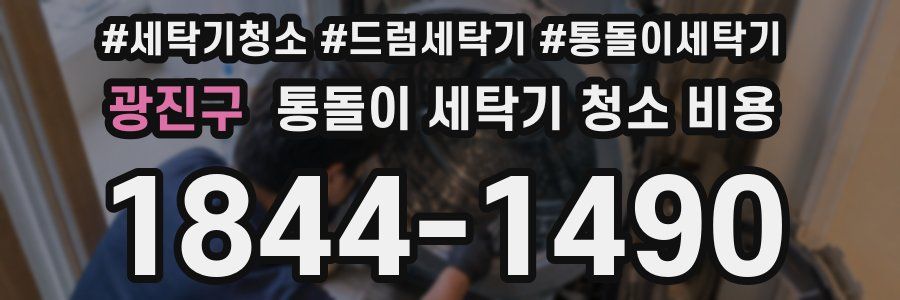 광진구 통돌이 세탁기 청소 비용