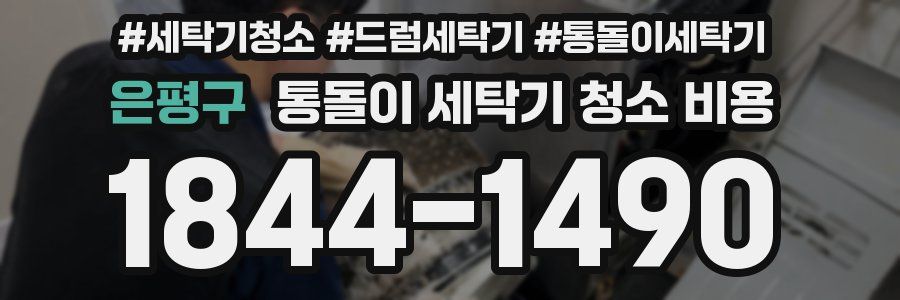 은평구 통돌이 세탁기 청소 비용