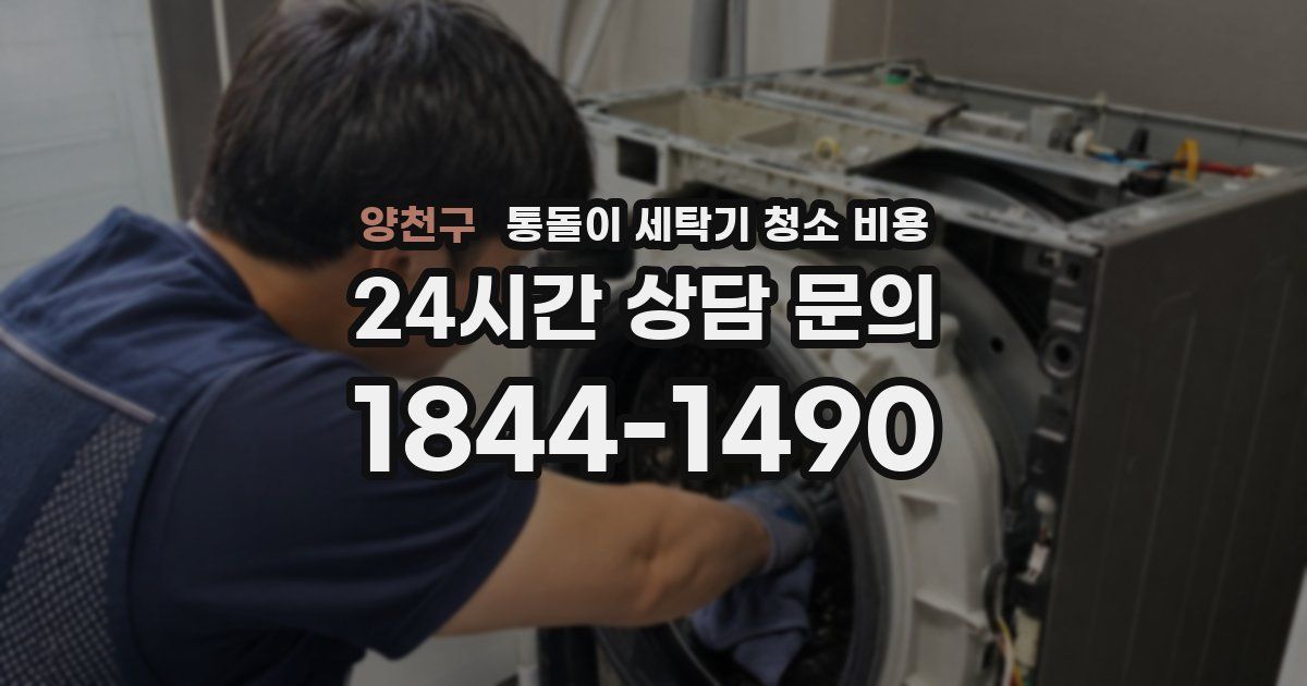 양천구 통돌이 세탁기 청소 비용