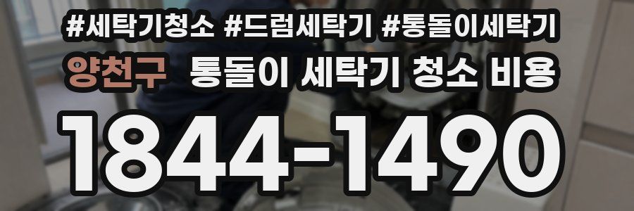 양천구 통돌이 세탁기 청소 비용