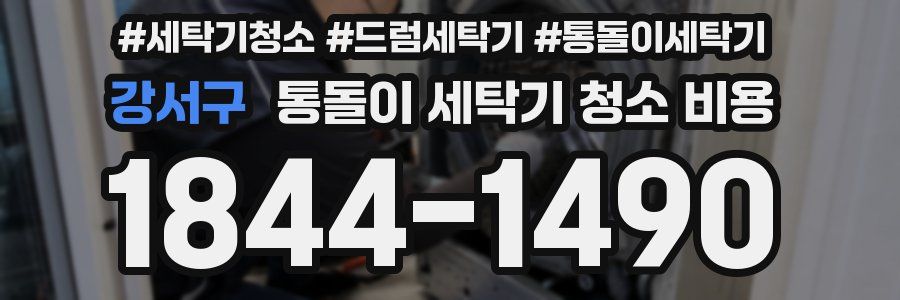 강서구 통돌이 세탁기 청소 비용