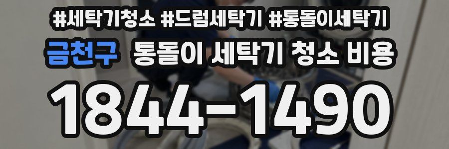 금천구 통돌이 세탁기 청소 비용