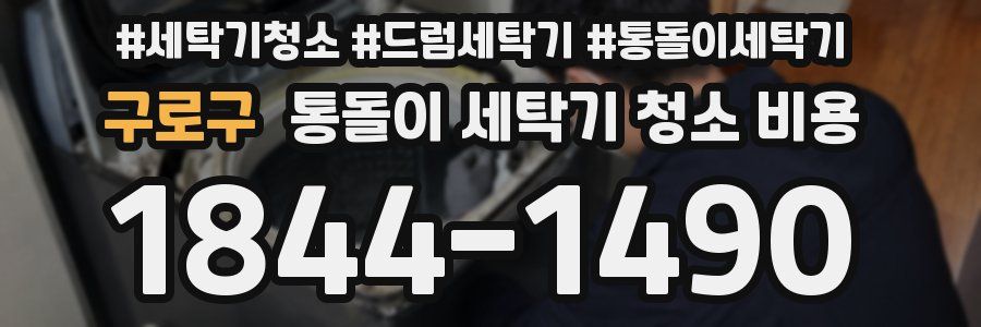구로구 통돌이 세탁기 청소 비용