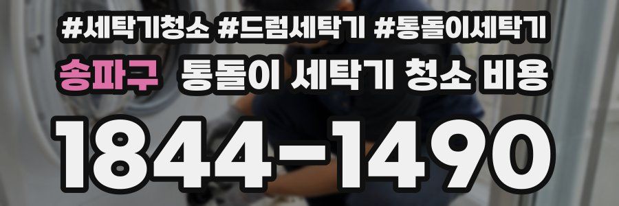 송파구 통돌이 세탁기 청소 비용