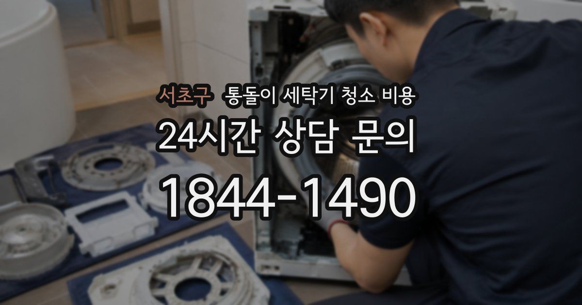 서초구 통돌이 세탁기 청소 비용