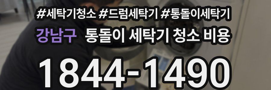 강남구 통돌이 세탁기 청소 비용