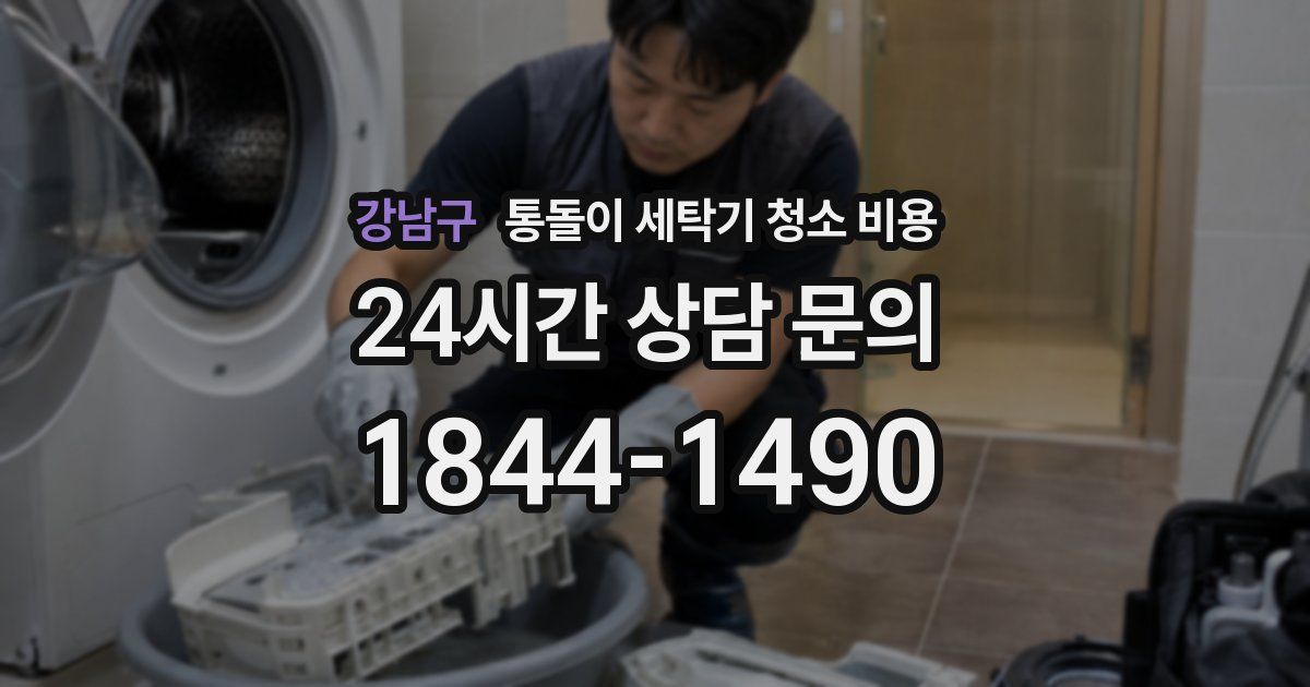 강남구 통돌이 세탁기 청소 비용