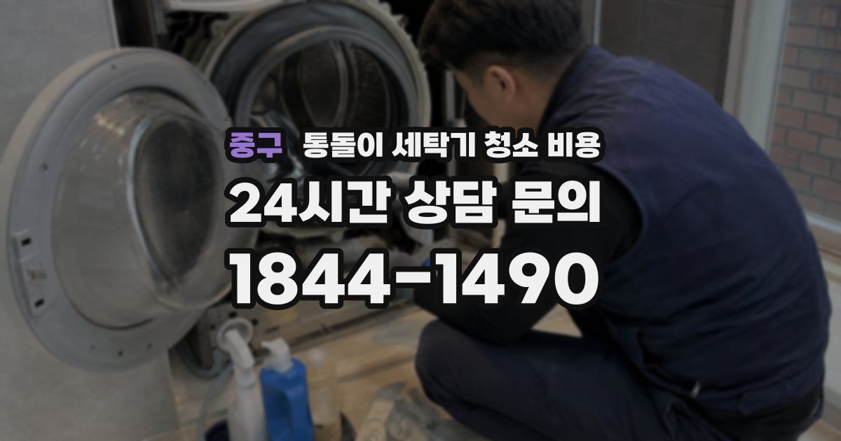 중구 통돌이 세탁기 청소 비용