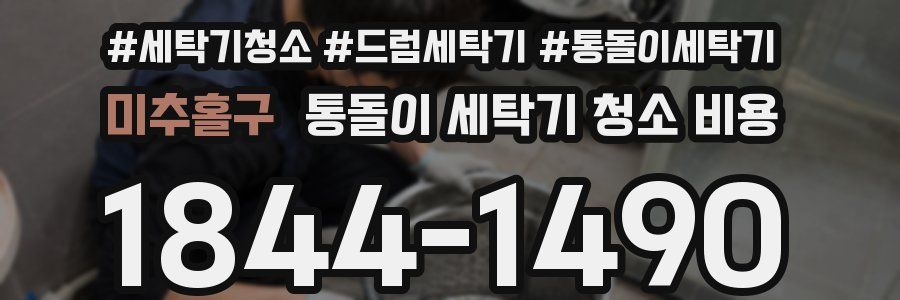 미추홀구 통돌이 세탁기 청소 비용
