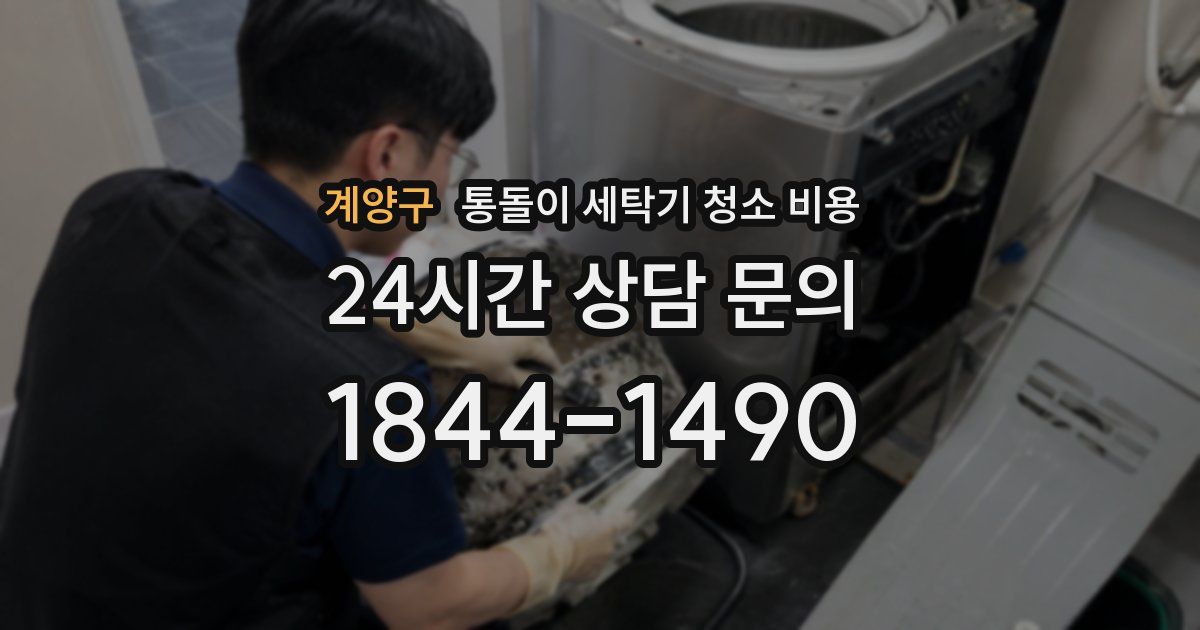 계양구 통돌이 세탁기 청소 비용