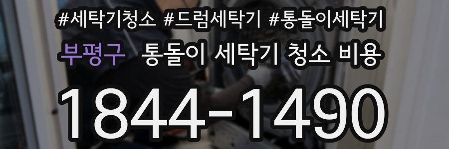 부평구 통돌이 세탁기 청소 비용