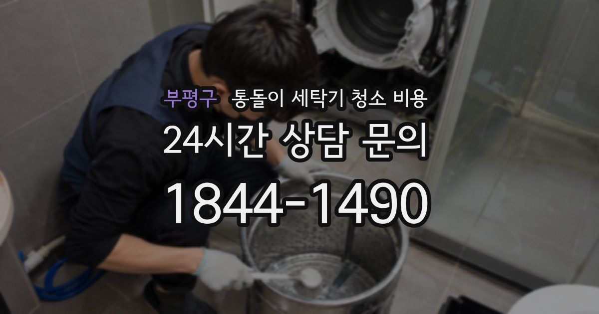 부평구 통돌이 세탁기 청소 비용