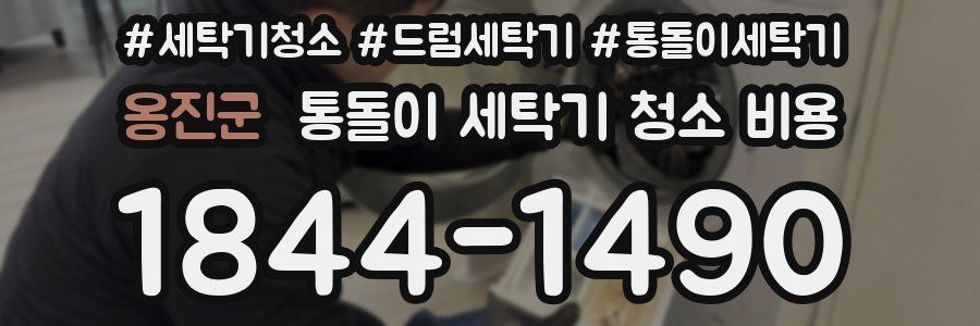 옹진군 통돌이 세탁기 청소 비용