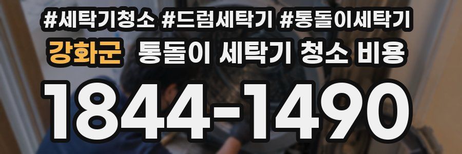 강화군 통돌이 세탁기 청소 비용