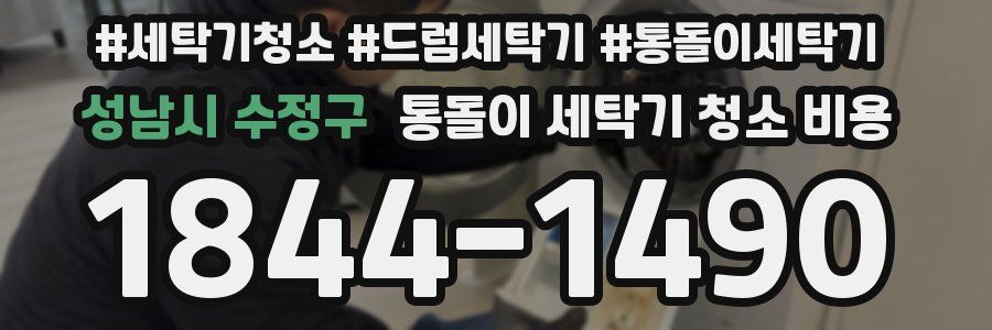 성남시 수정구 통돌이 세탁기 청소 비용