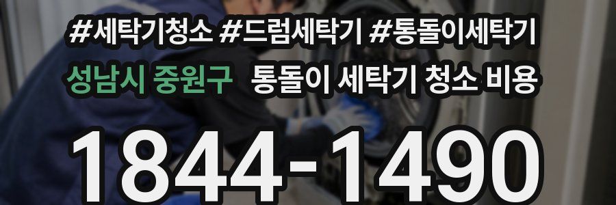 성남시 중원구 통돌이 세탁기 청소 비용
