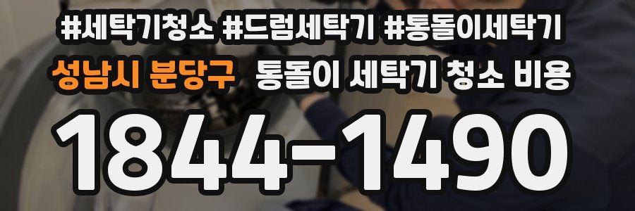 성남시 분당구 통돌이 세탁기 청소 비용