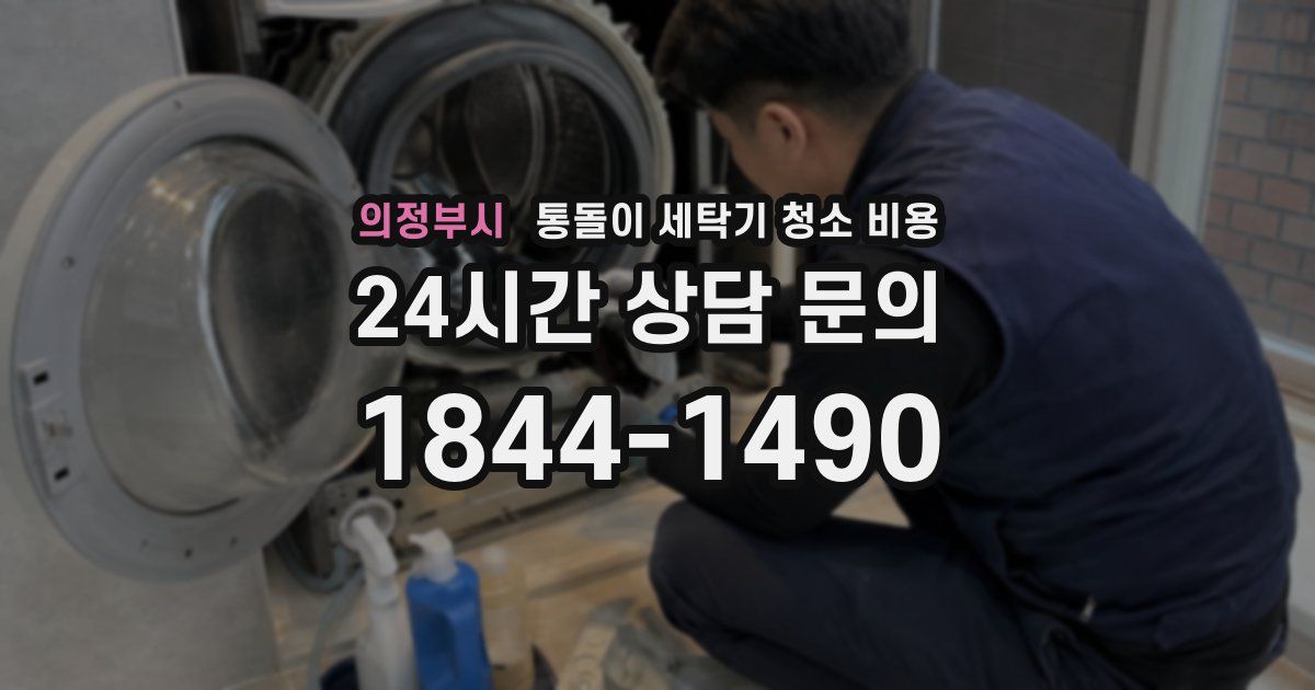 의정부시 통돌이 세탁기 청소 비용
