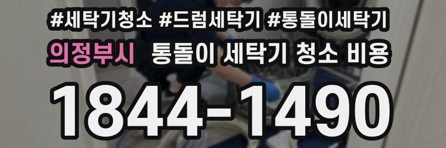 의정부시 통돌이 세탁기 청소 비용