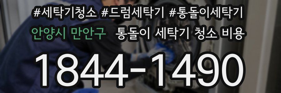 안양시 만안구 통돌이 세탁기 청소 비용