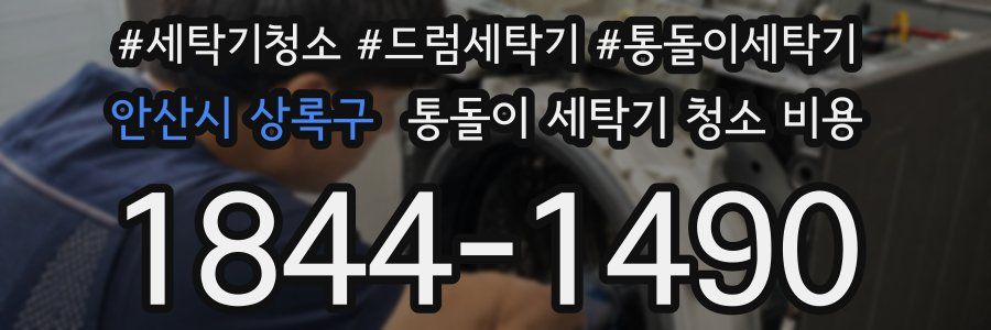 안산시 상록구 통돌이 세탁기 청소 비용