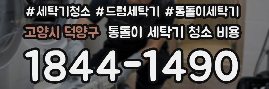 고양시 덕양구 통돌이 세탁기 청소 비용