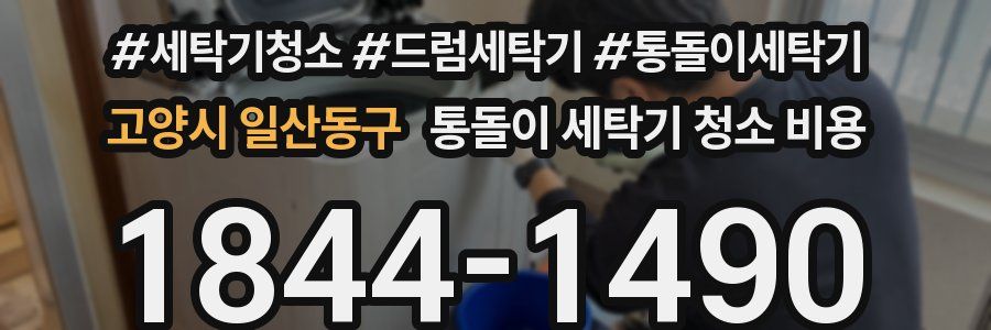 고양시 일산동구 통돌이 세탁기 청소 비용