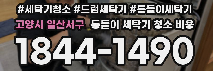 고양시 일산서구 통돌이 세탁기 청소 비용