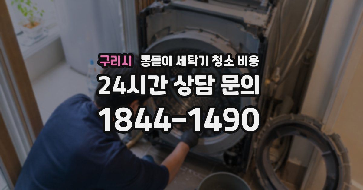 구리시 통돌이 세탁기 청소 비용