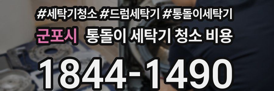 군포시 통돌이 세탁기 청소 비용