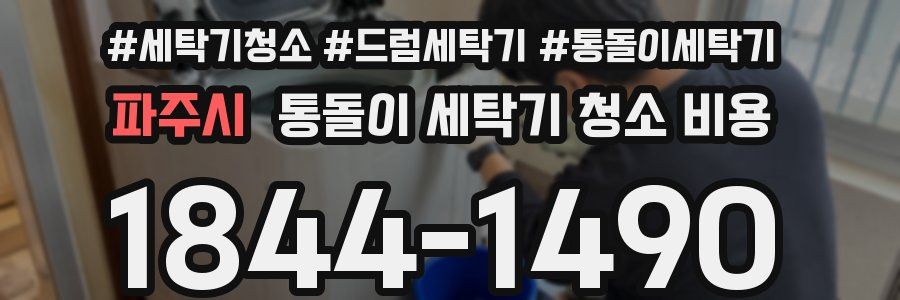 파주시 통돌이 세탁기 청소 비용