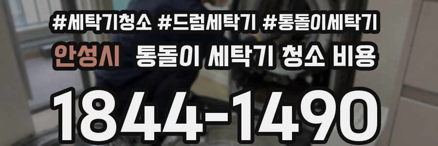 안성시 통돌이 세탁기 청소 비용