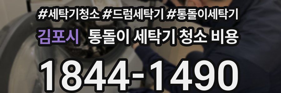 김포시 통돌이 세탁기 청소 비용