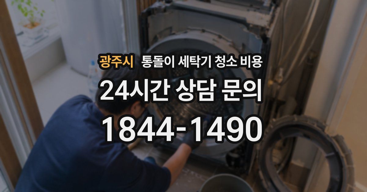 광주시 통돌이 세탁기 청소 비용