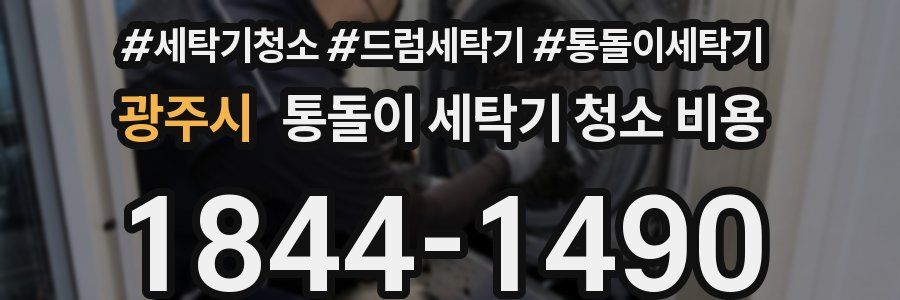 광주시 통돌이 세탁기 청소 비용