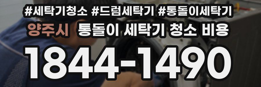양주시 통돌이 세탁기 청소 비용