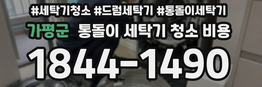 가평군 통돌이 세탁기 청소 비용