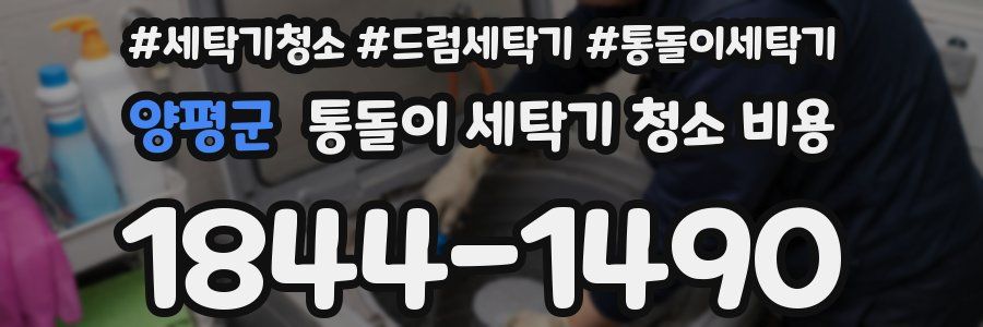양평군 통돌이 세탁기 청소 비용
